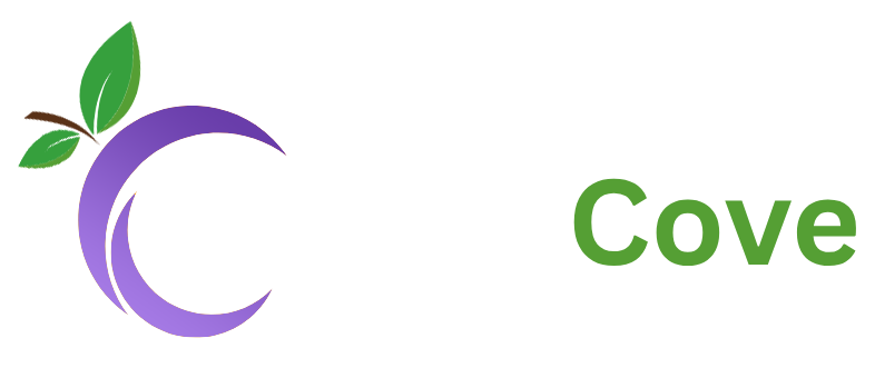calcve.com